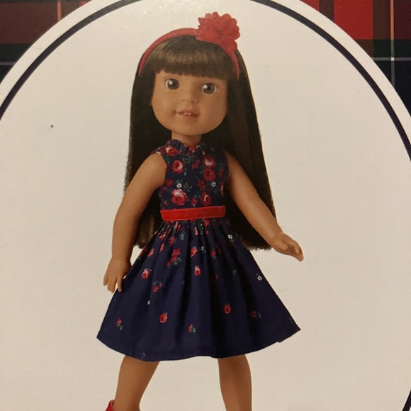 American Girl Wrapped in Roses Janie and Jack Party Dress for Wellie Wishers - Picture 3 of 5
